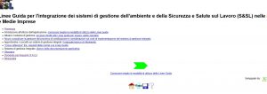 linee guida sistema di gestione sicurezza